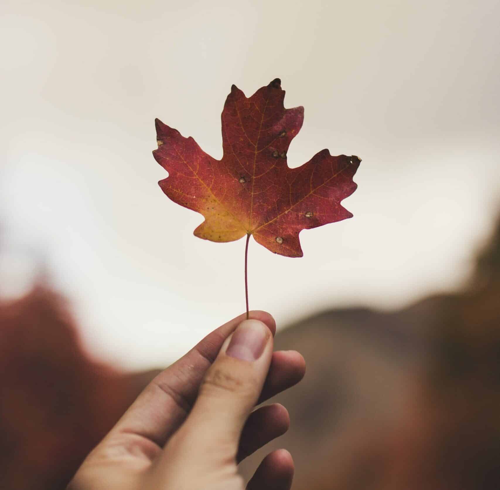 Outdoor Play in Canada Stakeholder Survey » Outdoor Play Canada